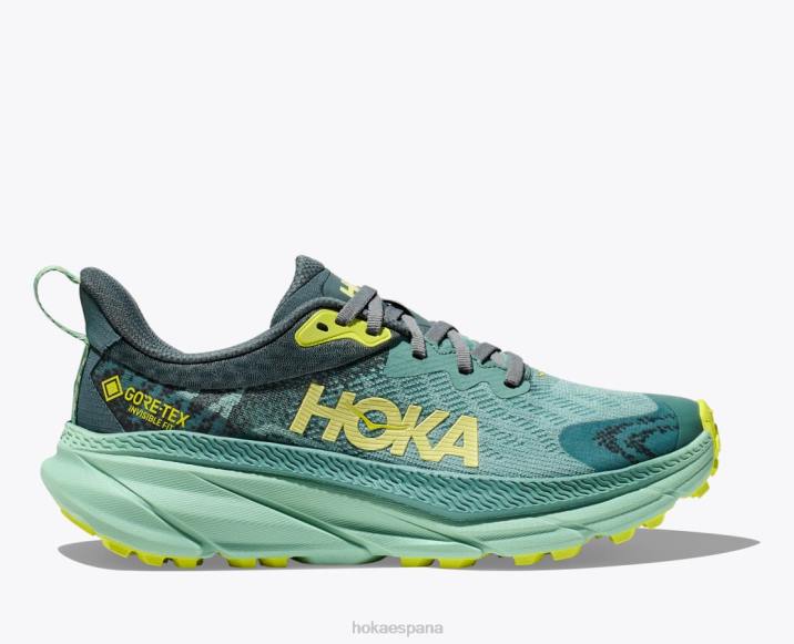 Hoka mujer retador 7 gtx PBDP94 enrejado/verde bálsamo